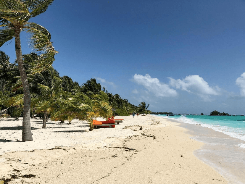 Maldives Tour Package from India | 4 Days Maafushi Island Adventure